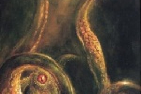 Мега кракен блэк спрут